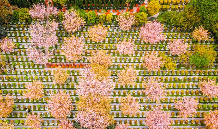 贵阳花溪福泽园公墓陵园