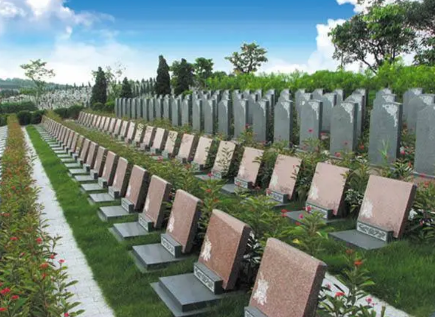 QQ截图20230717142626.png